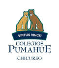Pumahue Chicureo