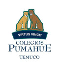 Pumahue Temuco