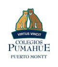 Pumahue Puerto Montt